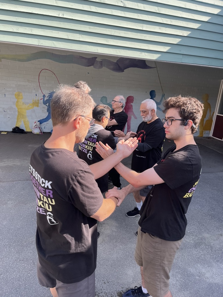 Chi Sao — pairs training